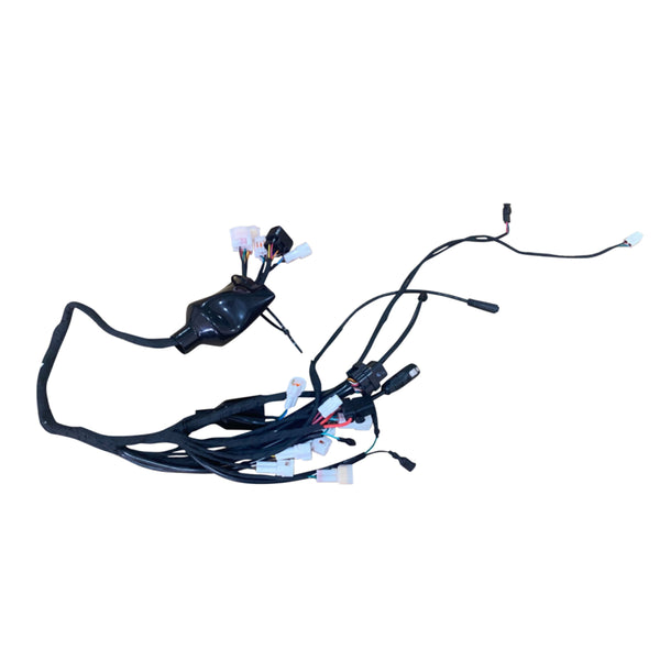 E7231 - 2024 Main wiring harness - 2.0