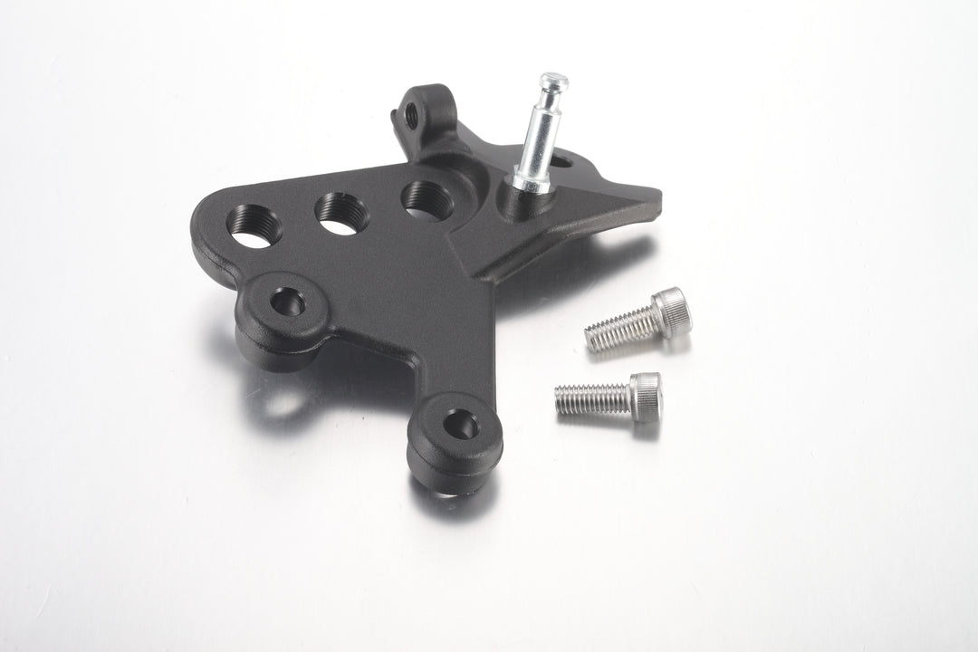 SHE7079 - Left Foot Peg Mounting Bracket + 2 Screws / All Models image 0