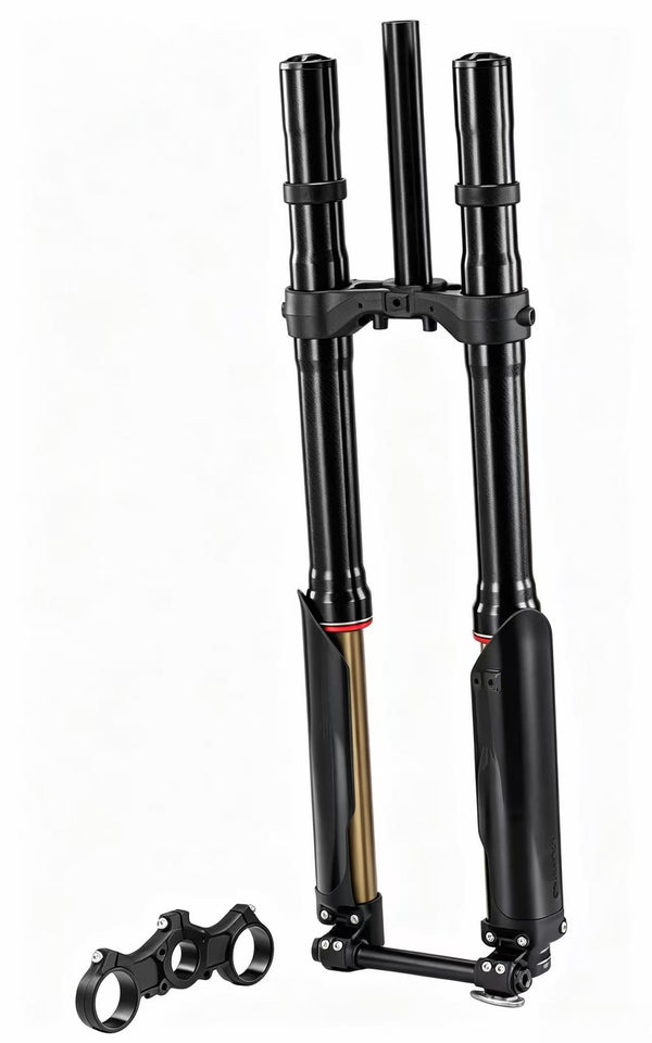 SHE7841  - FASTACE FORK - Pro SS 2.0