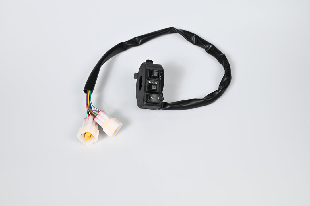 (00113-DJ-01) - Control Switch with Reverse - Pro 4.0