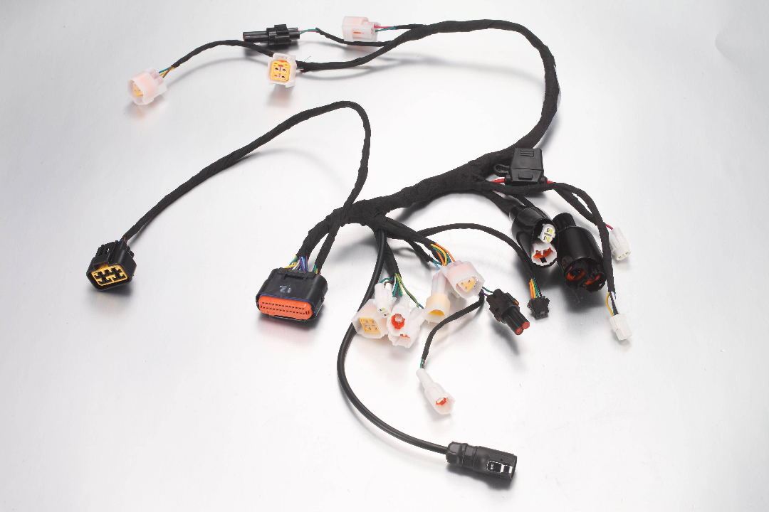 Main Wiring Harness- MINI