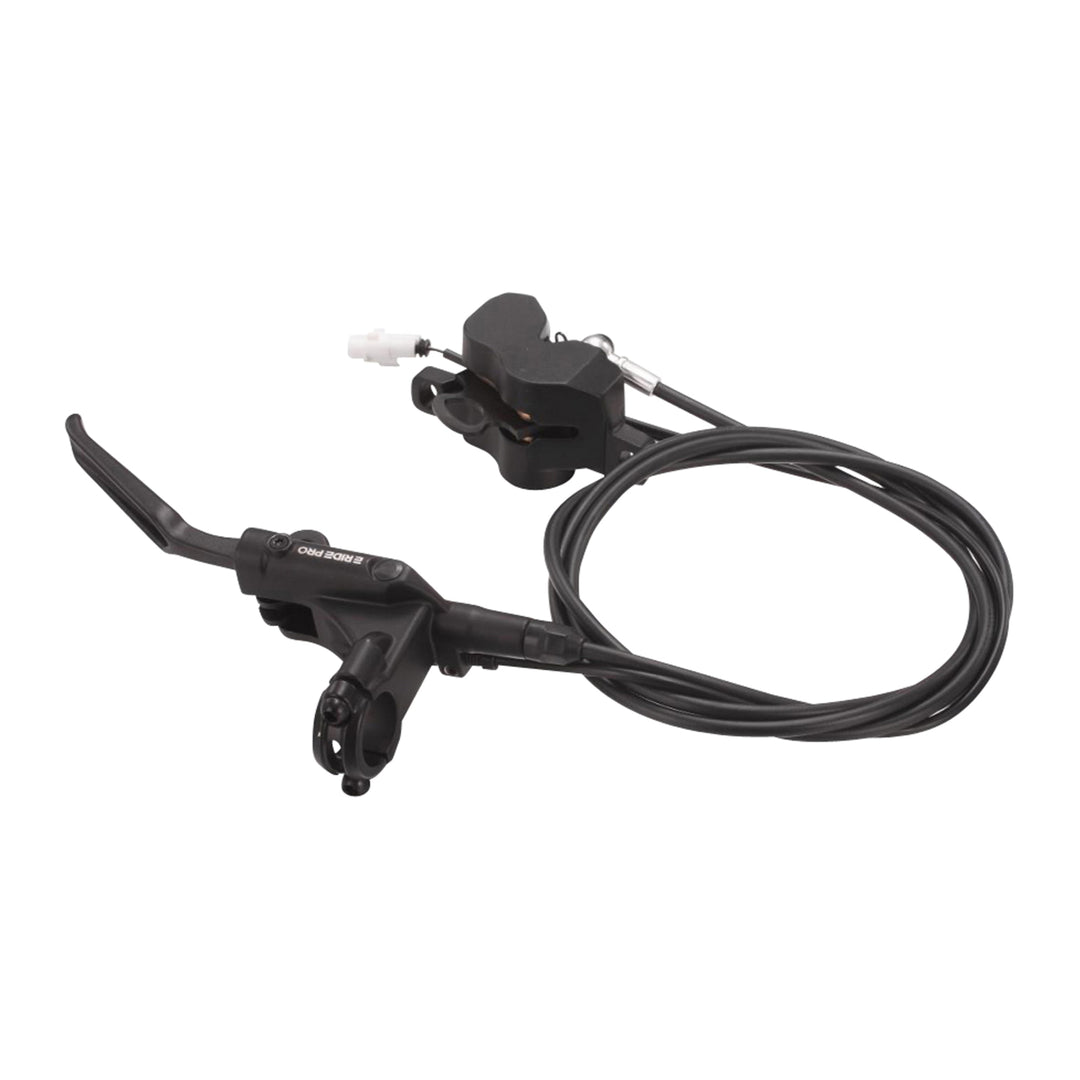 Rear Brake Assembly - ProS/SS 2.0