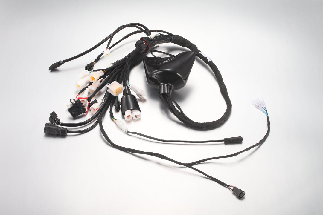Main wiring harness - SR 