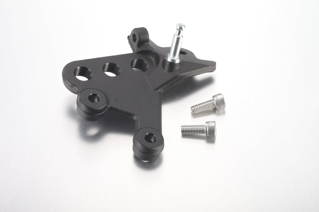 Left Foot Peg Mounting Bracket + 2 Screws - All Models