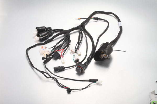 E7015 - 3.0 Main Wiring Harness